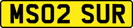 MS02SUR