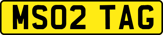 MS02TAG