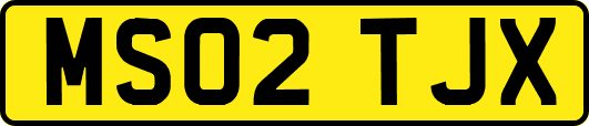 MS02TJX