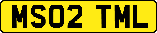 MS02TML