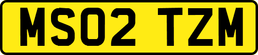 MS02TZM