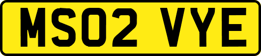 MS02VYE