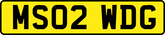 MS02WDG