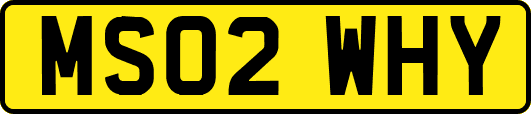 MS02WHY