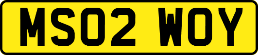 MS02WOY