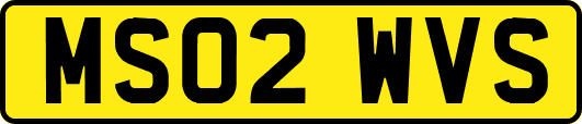MS02WVS