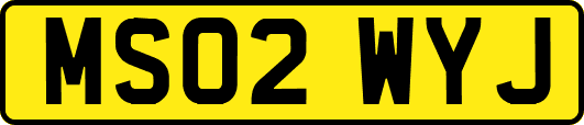 MS02WYJ