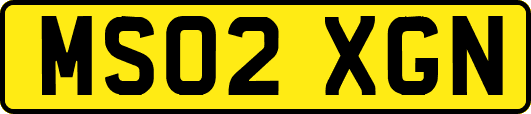 MS02XGN
