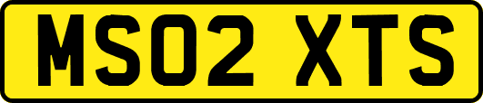 MS02XTS