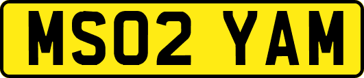 MS02YAM