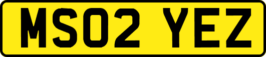 MS02YEZ