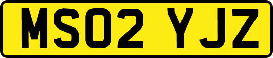 MS02YJZ