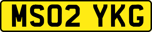MS02YKG