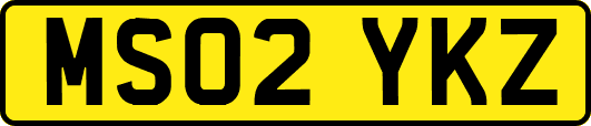 MS02YKZ