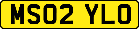 MS02YLO