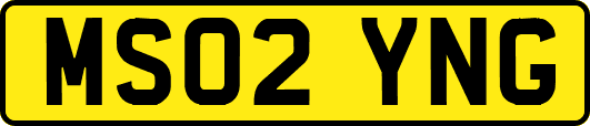 MS02YNG