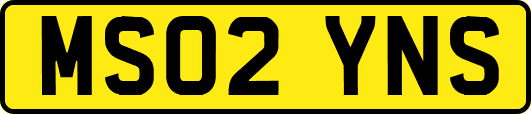MS02YNS
