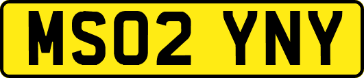 MS02YNY
