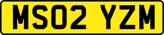 MS02YZM