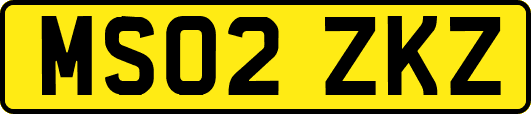 MS02ZKZ