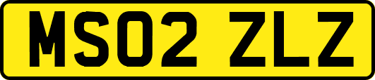 MS02ZLZ