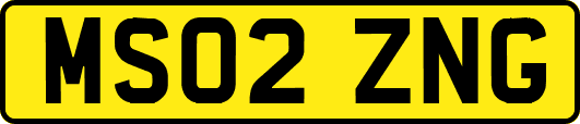 MS02ZNG