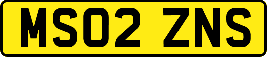 MS02ZNS
