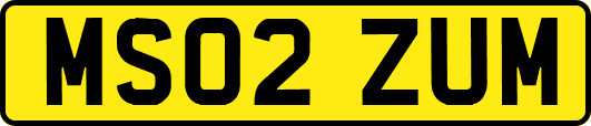 MS02ZUM