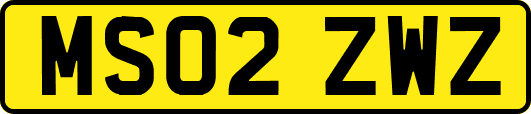 MS02ZWZ