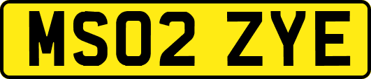 MS02ZYE