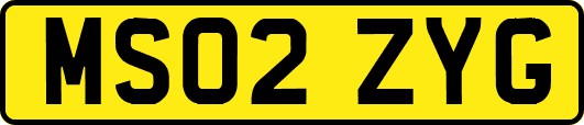 MS02ZYG