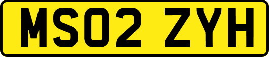 MS02ZYH