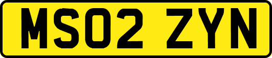 MS02ZYN