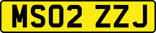 MS02ZZJ