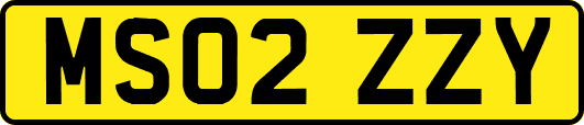 MS02ZZY