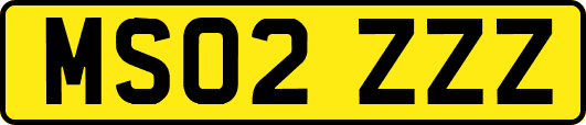 MS02ZZZ