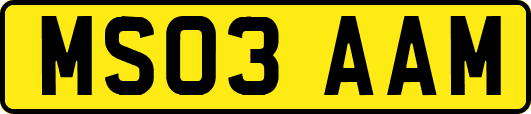 MS03AAM