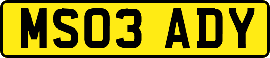MS03ADY