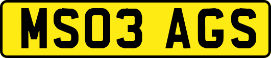 MS03AGS