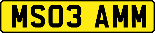 MS03AMM