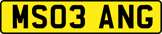 MS03ANG