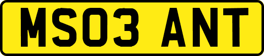 MS03ANT