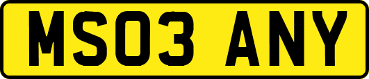 MS03ANY