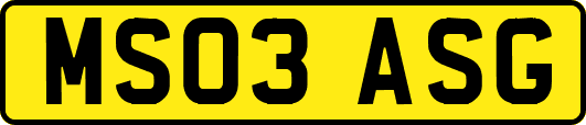 MS03ASG