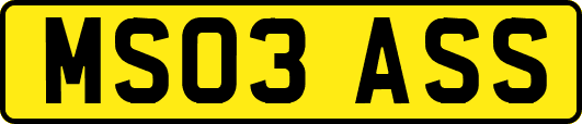 MS03ASS