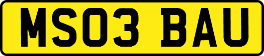 MS03BAU