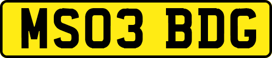 MS03BDG