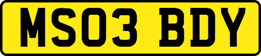 MS03BDY
