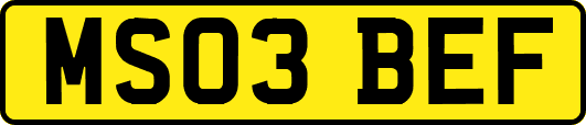 MS03BEF