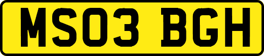 MS03BGH